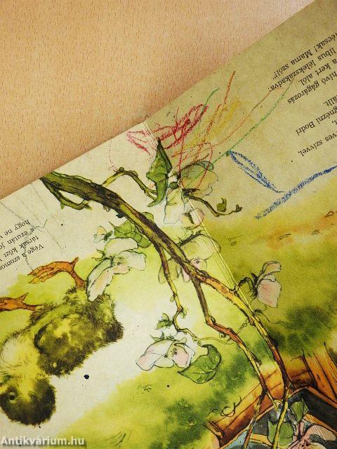 Az elveszett kisliba