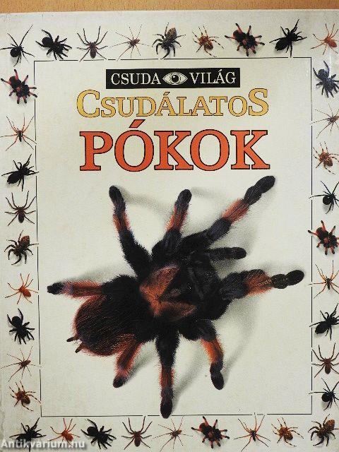 Csudálatos pókok