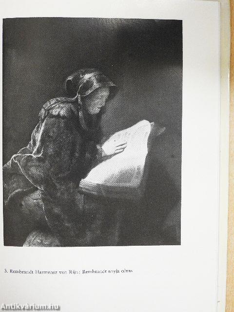 A budavári gótikus szoborlelet