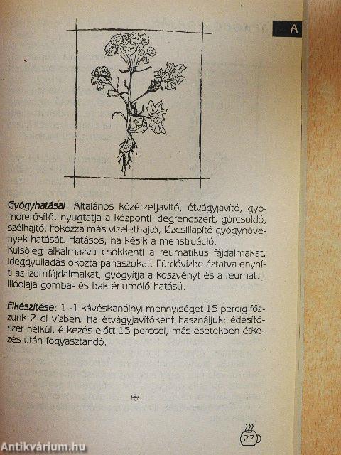 Gyógynövény ABC