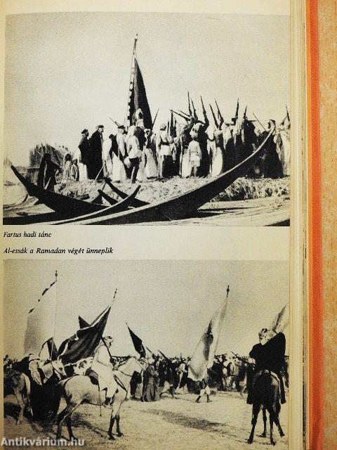 Mocsári arabok
