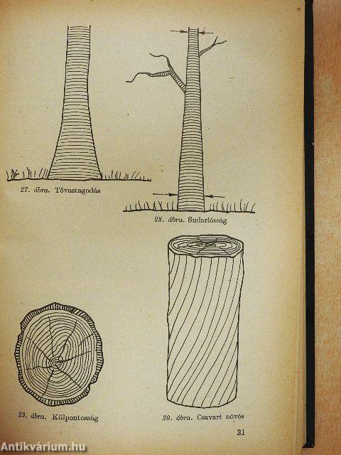 Ács- és épületasztalos-munkák