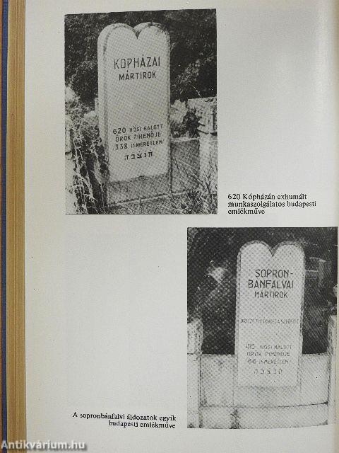 Holocaust az Alpok előtt