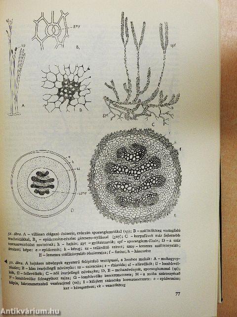 A növények világa I-II.