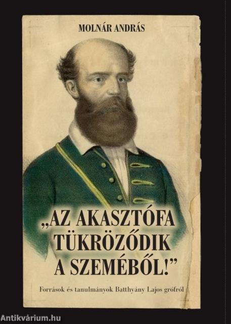 ,,Az akasztófa tükröződik a szeméből!" - Források és tanulmányok Batthyány Lajos grófról