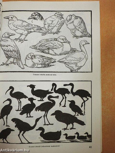 A rajzolás iskolája kezdettől a művészetig