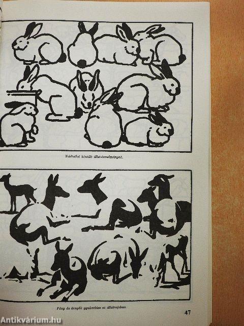 A rajzolás iskolája kezdettől a művészetig