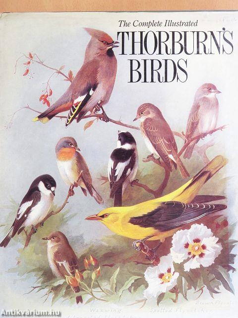 The Complete Illustrated Thorburn's Birds