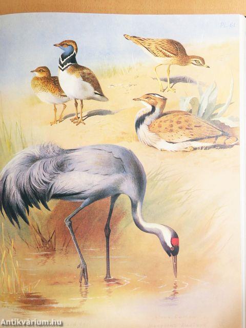 The Complete Illustrated Thorburn's Birds