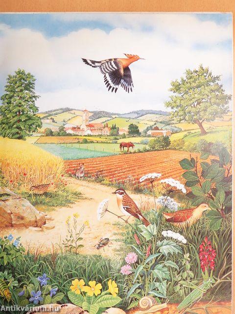 Schauplätze der Natur