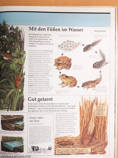 Schauplätze der Natur