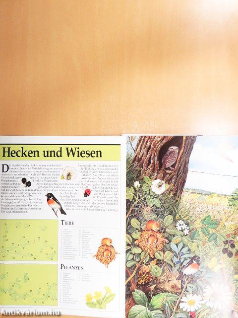 Schauplätze der Natur