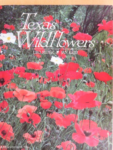 Texas Wildflowers
