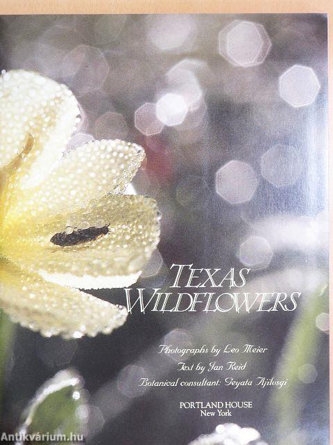 Texas Wildflowers