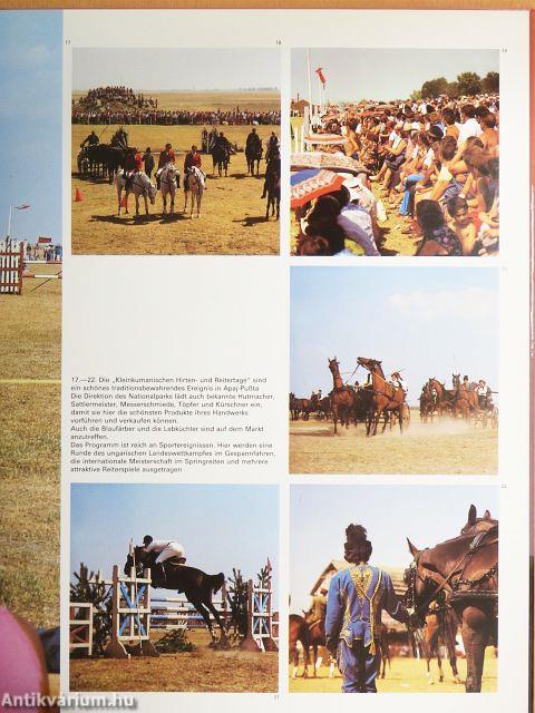 Die Ungarische Puszta