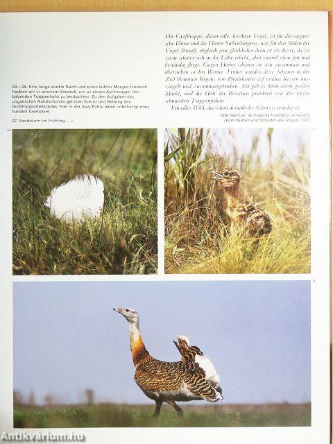 Die Ungarische Puszta