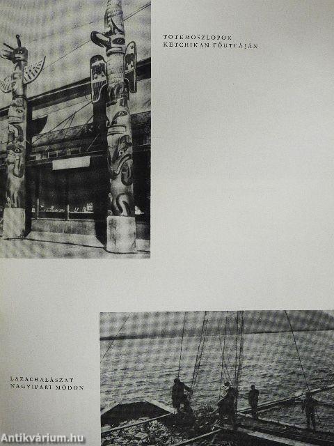 Alaszkában vadásztam