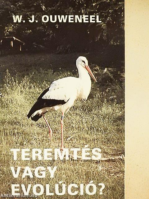 Teremtés vagy evolúció?