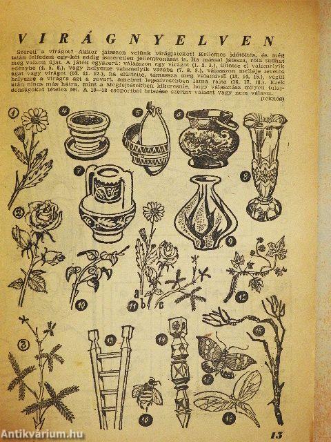 Füles 1966. május 22.