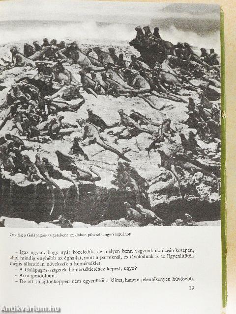 Fiúk Évkönyve 1968