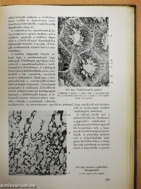 Háziállatok szövettana