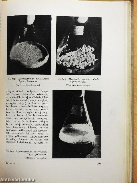 Állatorvosi bakteriológia, immunitástan és általános járványtan