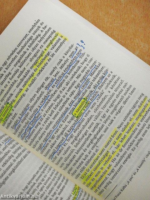 Az újkor vége/A hatalom