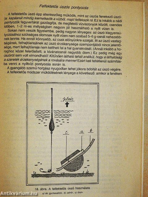 Nyíltvízi pontyozás