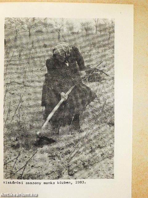 Népviseletek a Duna Tisza közén