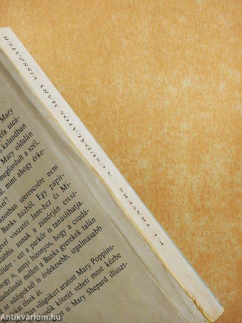 A csudálatos Mary visszatér