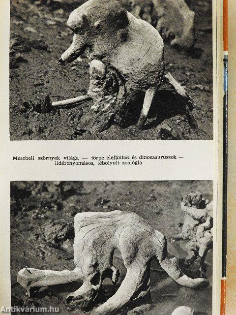 Az utolsó kannibálok