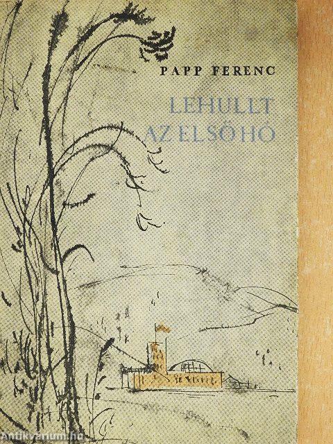 Lehullt az első hó