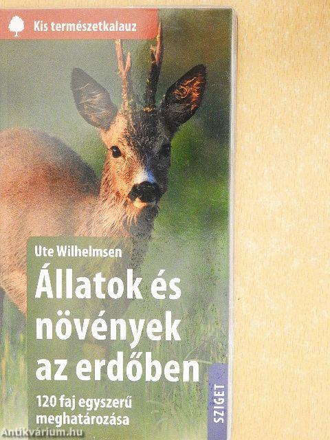 Állatok és növények az erdőben