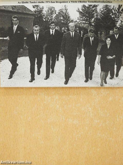 Harminc év történelem