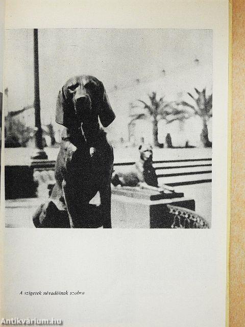 Csipetnyi Antarktisz