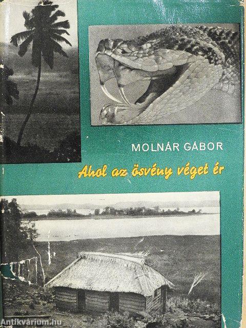 Ahol az ösvény véget ér