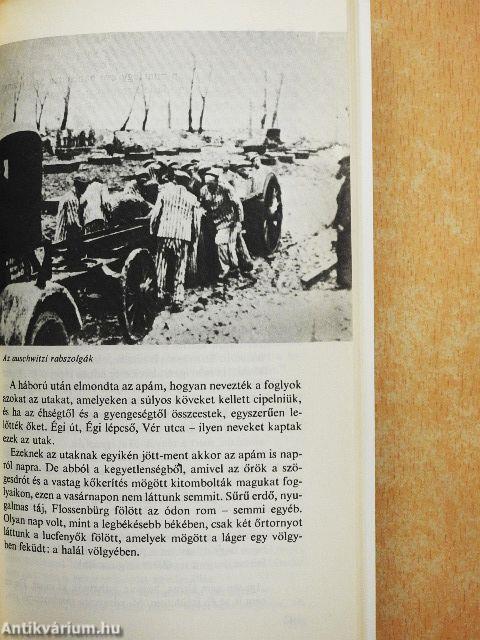 Ifjúságom a Harmadik Birodalomban