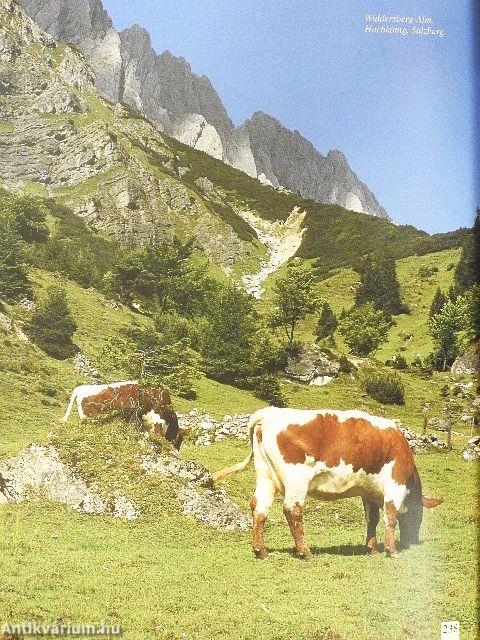 Die Schönsten Almen Österreichs