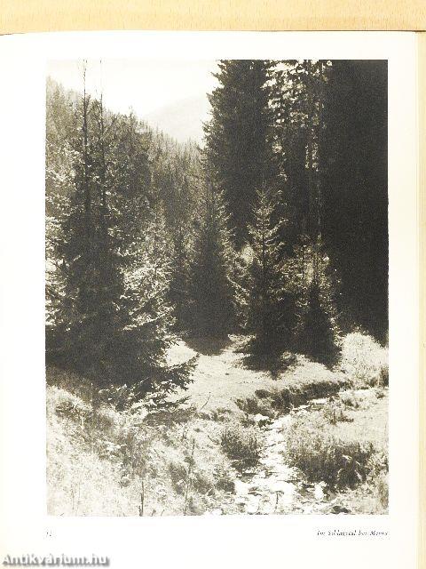 Wandertage am Rennsteig