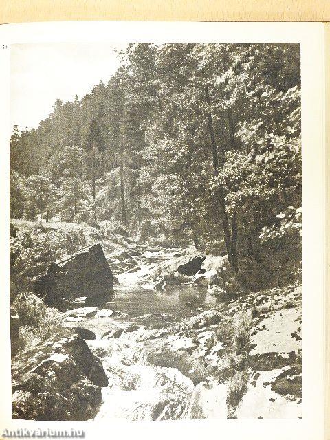 Wandertage am Rennsteig