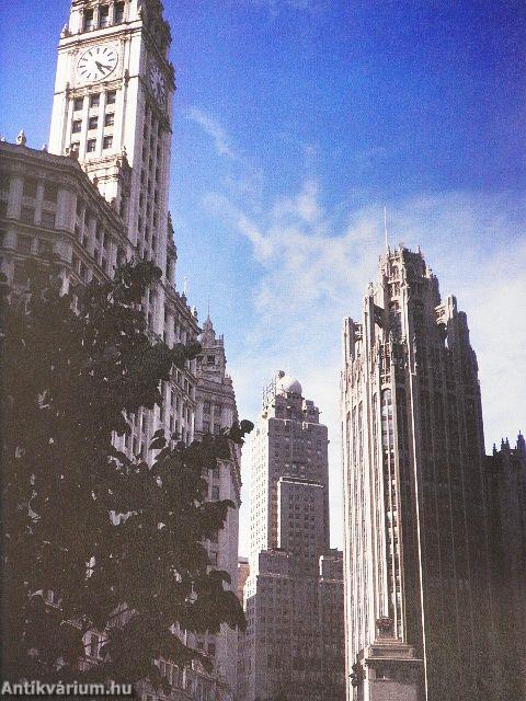 Chicago, Illinois
