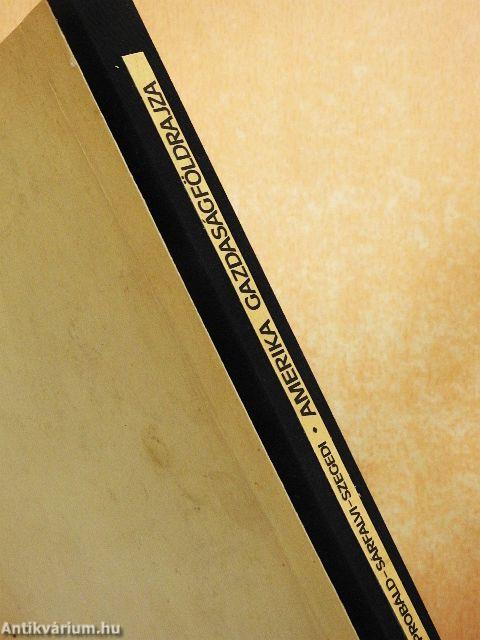 Amerika gazdaságföldrajza