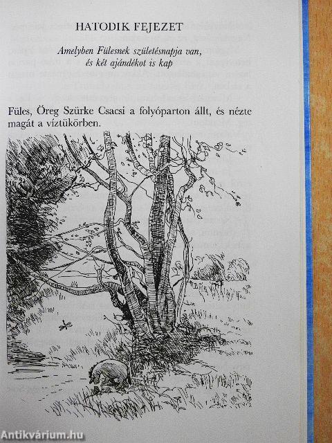 Micimackó/Micimackó kuckója