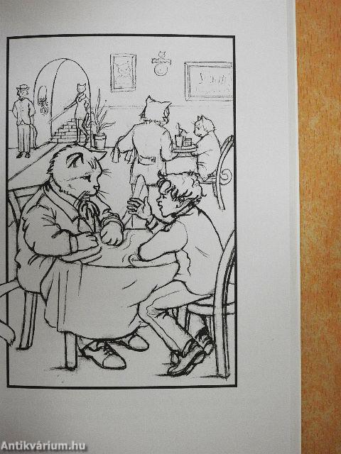 Rejtély Macskavárosban