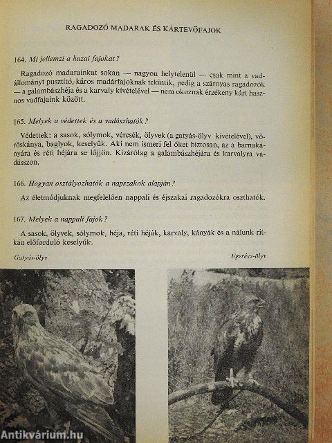Mit kell tudni a vadászsportról?