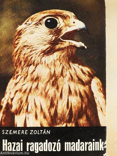 Hazai ragadozó madaraink