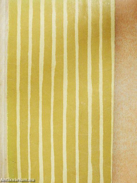 Intőkönyvem története