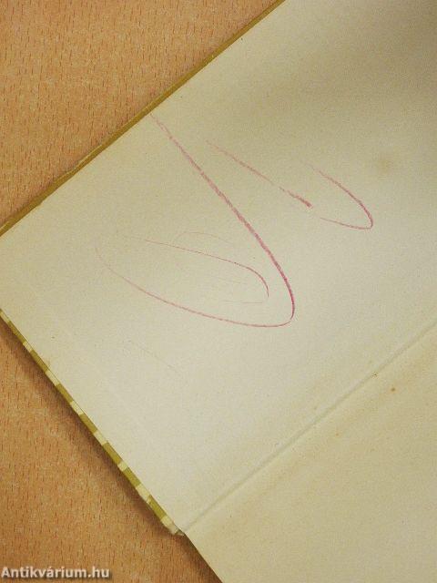 Intőkönyvem története