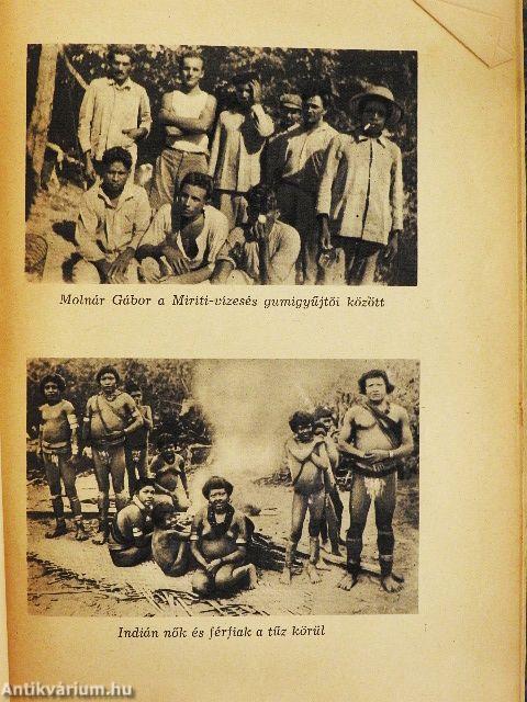 Az óriáskígyók földjén