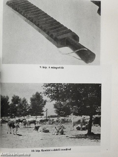 Gidres-gödrös Mogyoród